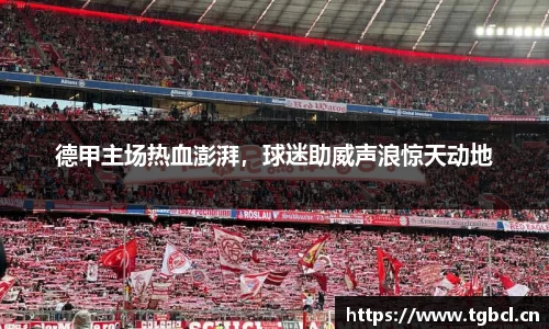 德甲主场热血澎湃，球迷助威声浪惊天动地