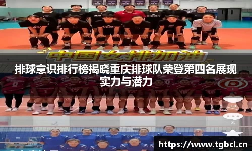 排球意识排行榜揭晓重庆排球队荣登第四名展现实力与潜力