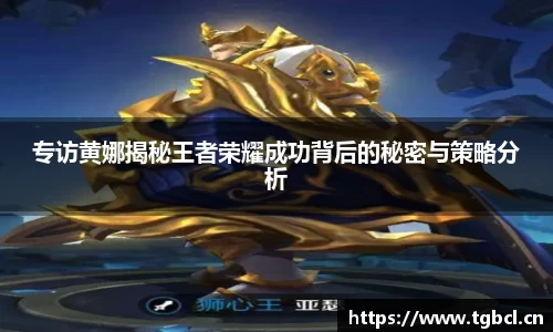 专访黄娜揭秘王者荣耀成功背后的秘密与策略分析