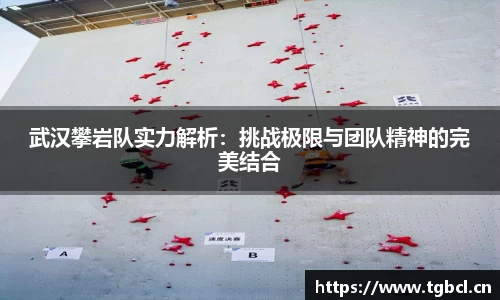 芒果体育