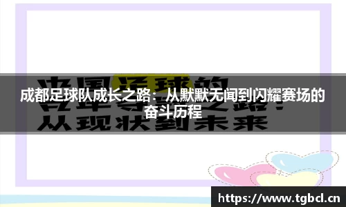 成都足球队成长之路：从默默无闻到闪耀赛场的奋斗历程