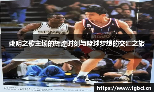 姚明之歌主场的辉煌时刻与篮球梦想的交汇之旅