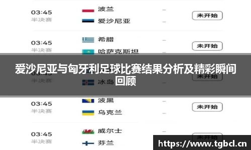 爱沙尼亚与匈牙利足球比赛结果分析及精彩瞬间回顾