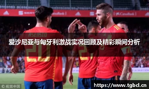 爱沙尼亚与匈牙利激战实况回顾及精彩瞬间分析