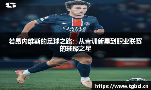 若昂内维斯的足球之路：从青训新星到职业联赛的璀璨之星
